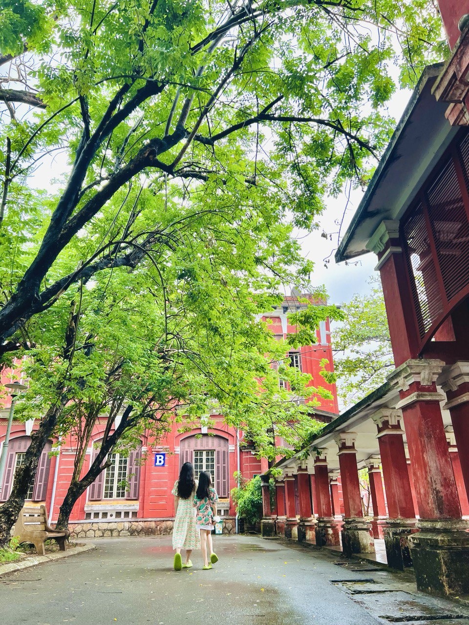 Trường Quốc Học Huế với tông đỏ hồng rực rỡ, nên đứng góc nào chụp cũng có ảnh đẹp.