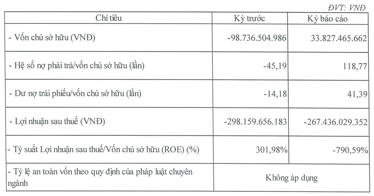 Nợ phải trả của Công ty TNHH Đầu tư Bất động sản Du lịch Hoàng Trường gấp 118,77 lần vốn chủ sở hữu. Ảnh: Chụp báo cáo doanh nghiệp