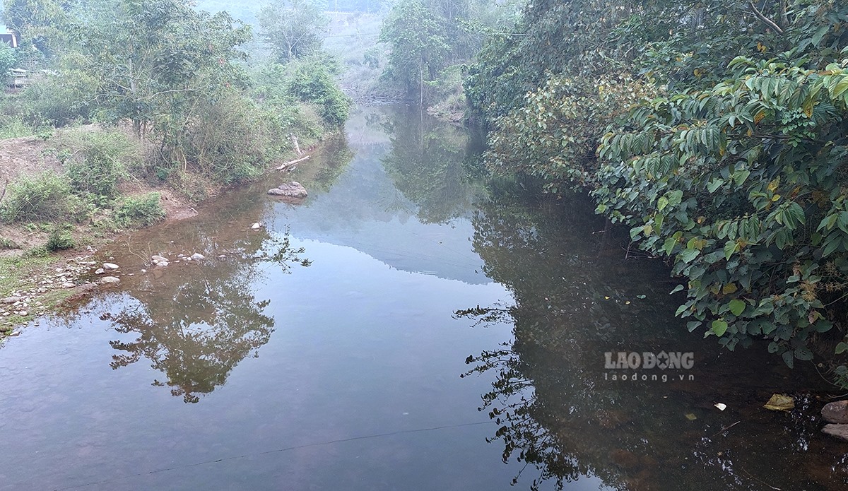 Ông Trần Quyết Thắng – Chủ tịch UBND xã Leng Su Sìn cho biết, suối Pam Pơi bao quanh bản Leng Su Sìn là dòng suối quanh năm trong vắt và mát lạnh. Theo người già ở đây kể lại thì xưa kia trên dòng suối Pam Pơi có rất nhiều loài cá quý, trong đó có cá Anh Vũ - là loài cá tiến vua.