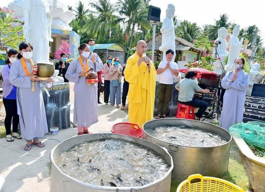 Đại đức Thích Minh Phước cùng phật tử thả cá giống xuống sông Tiền. Ảnh: Kỳ Quan