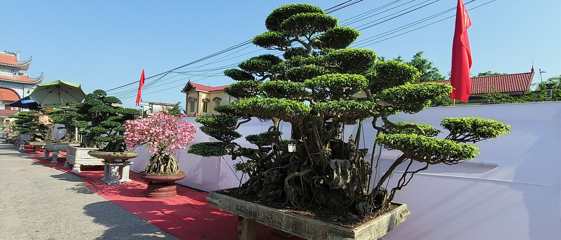 Các tác phẩm trưng bày tại triển lãm lần này được đánh giá đẹp, độc và đắt. Ảnh: Trung Du