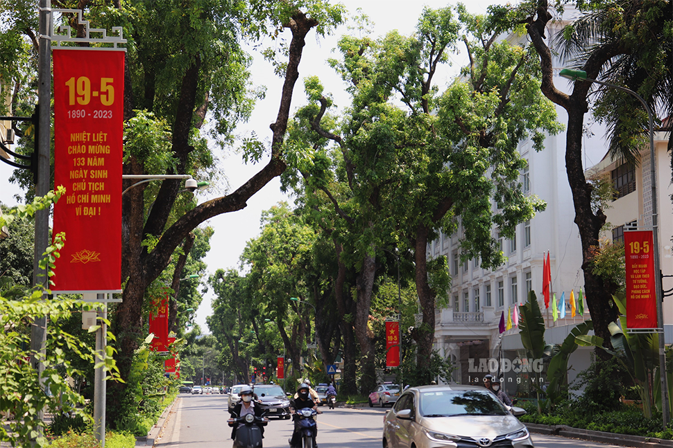 Băng rôn chào mừng kỷ niệm ngày sinh nhật Bác Hồ được treo dọc trên phố Lê Hồng Phong. Ảnh: Thái Mạnh