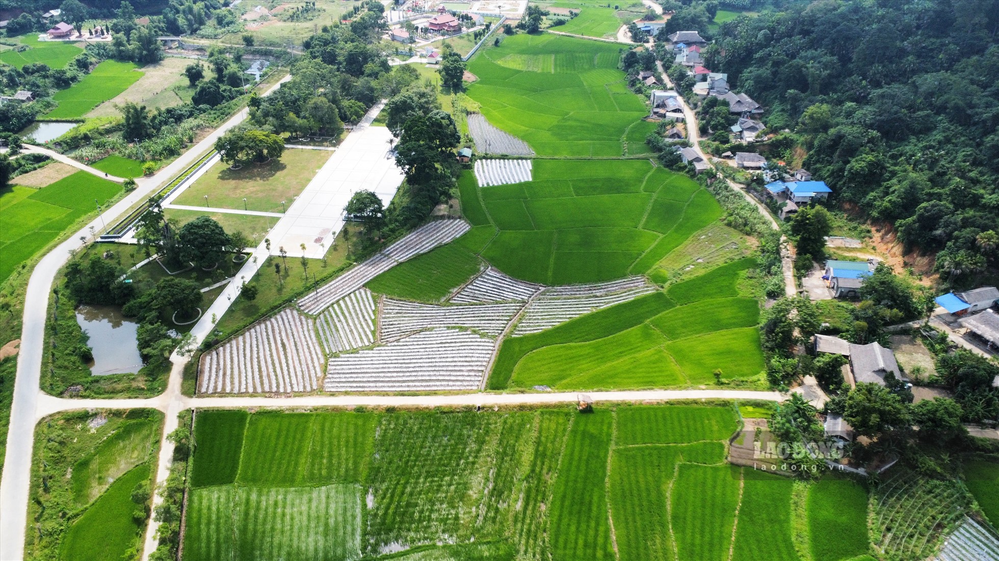 Những mảng xanh của ruộng lúa, của các mô hình sản xuất nông nghiệp mới trải dài trên đất Tân Trào mang lại cuộc sống ấm no cho đồng bào.