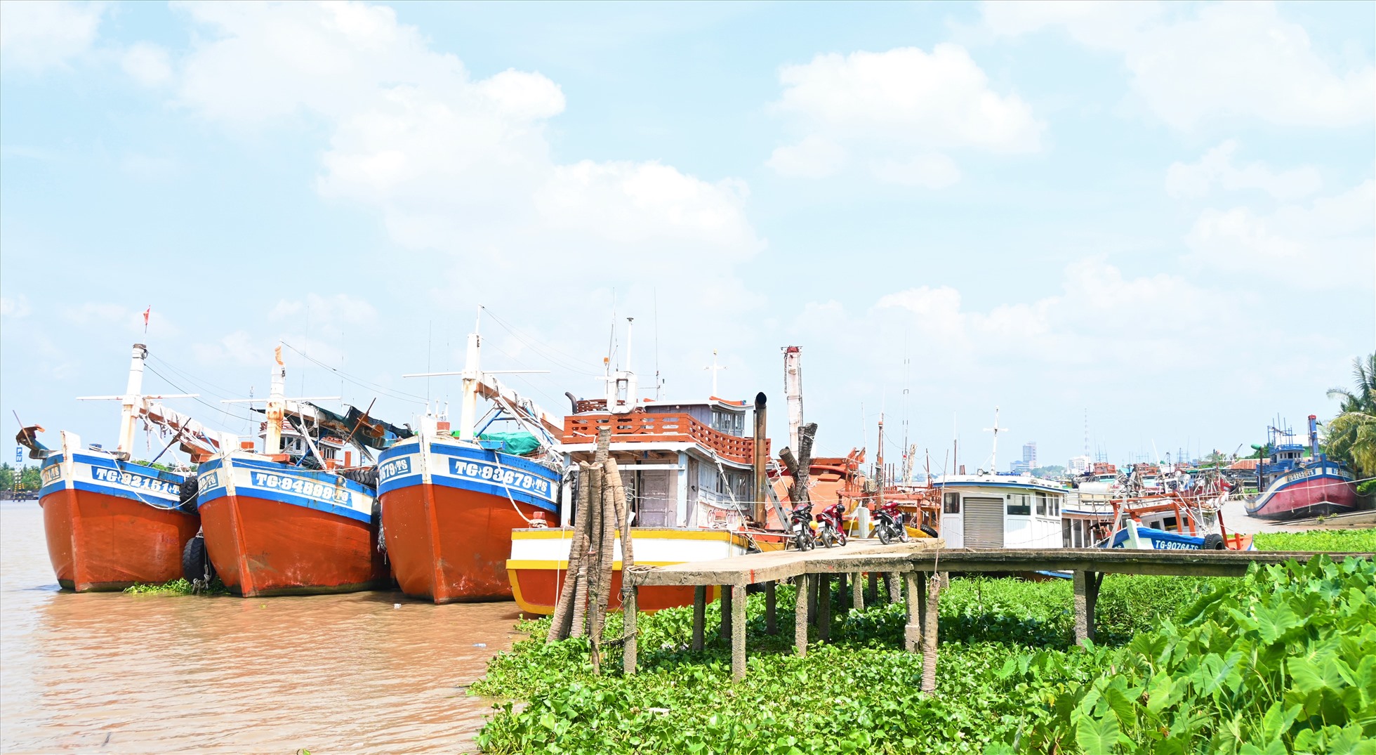 Các tàu đánh bắt vẫn nằm bờ dọc sông Tiền trên địa bàn TP Mỹ Tho (tỉnh Tiền Giang). Ảnh: Thành Nhân