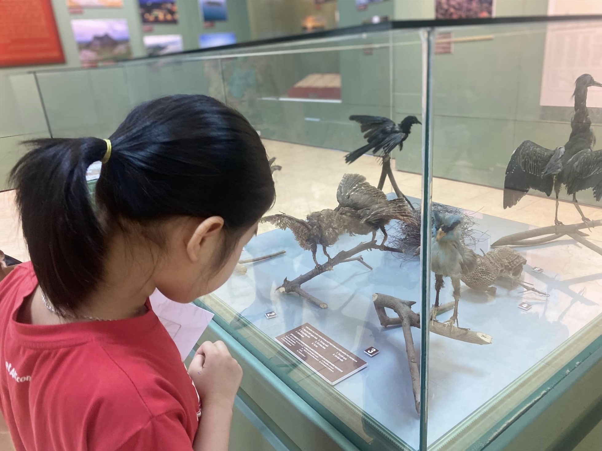 Tranh thủ ngày nghỉ, trẻ em theo gia đình đến Bảo tàng Nghệ An để tham quan các hiện vật lí thú. Ảnh: Hải Đăng