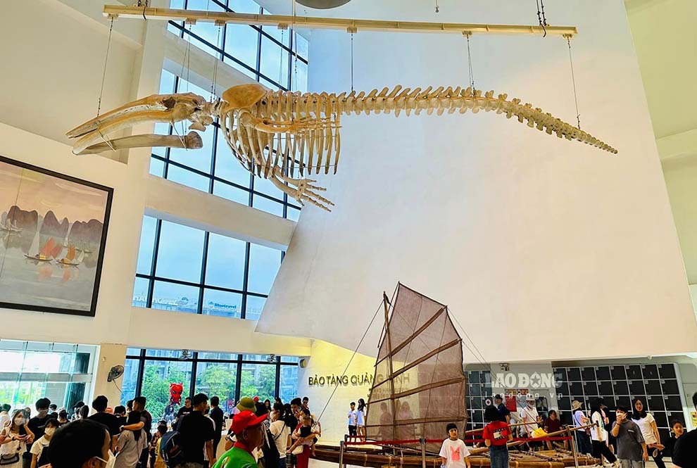 Với không gian trưng bày độc đáo, đa dạng, Bảo tàng Quảng Ninh đã đem đến cho du khách cái nhìn đầy đủ, toàn diện về vùng đất và con người Quảng Ninh.