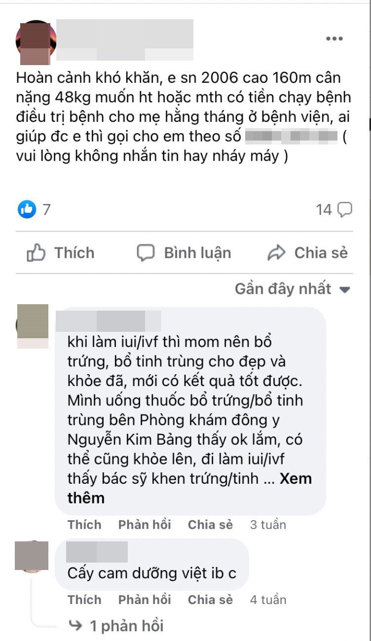 Bài đăng của một cô gái sinh năm 2006 có nhu cầu hiến trứng hoặc mang thai hộ để kiếm thêm tiền trang trải cuộc sống. Ảnh: Chụp màn hình