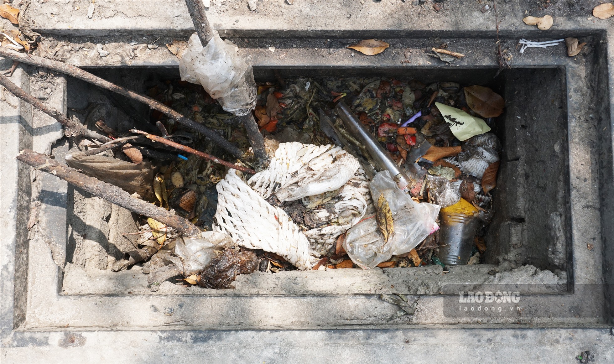 Hố ga cũng trở thành nơi đổ rác thải sinh hoạt gây ô nhiễm môi trường.