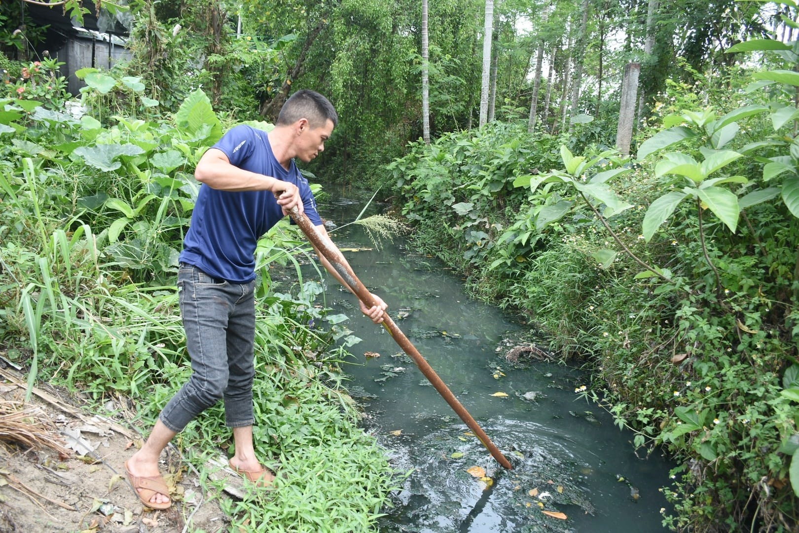 Hàng chục hộ dân ở TDP 3, phường Nghĩa Lộ, TP.Quảng Ngãi phải “bấm bụng” sống chung với kênh nước thải bị ô nhiễm. Ảnh: Ngọc Viên