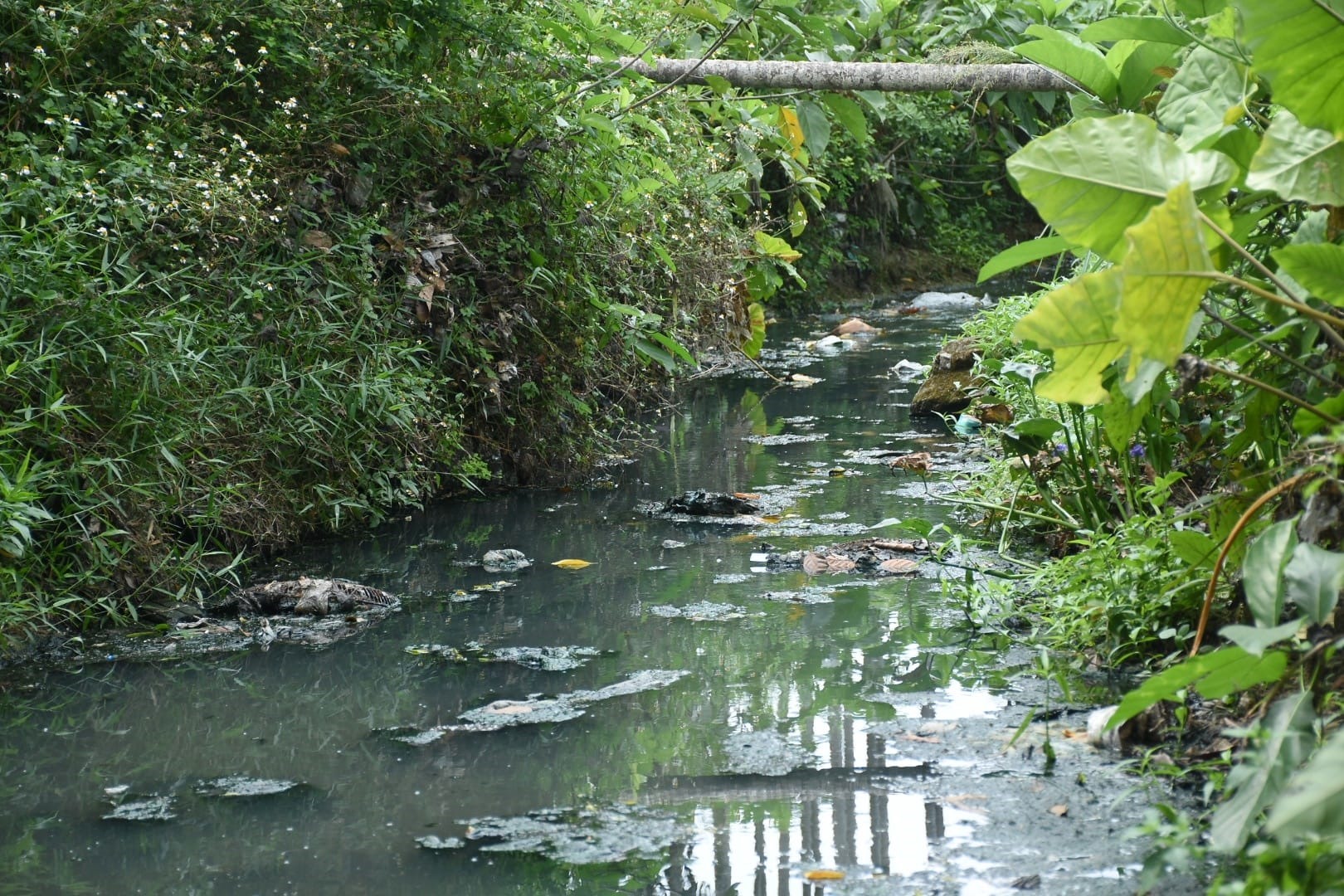 Đoạn kênh thoát nước thải có chiều dài khoảng 300m gây ô nhiễm môi trường, ảnh hưởng nghiêm trọng đến cuộc sống của hàng chục hộ dân. Người dân mong muốn đoạn kênh này được ngầm hóa để giảm ô nhiễm. Ảnh: Ngọc Viên
