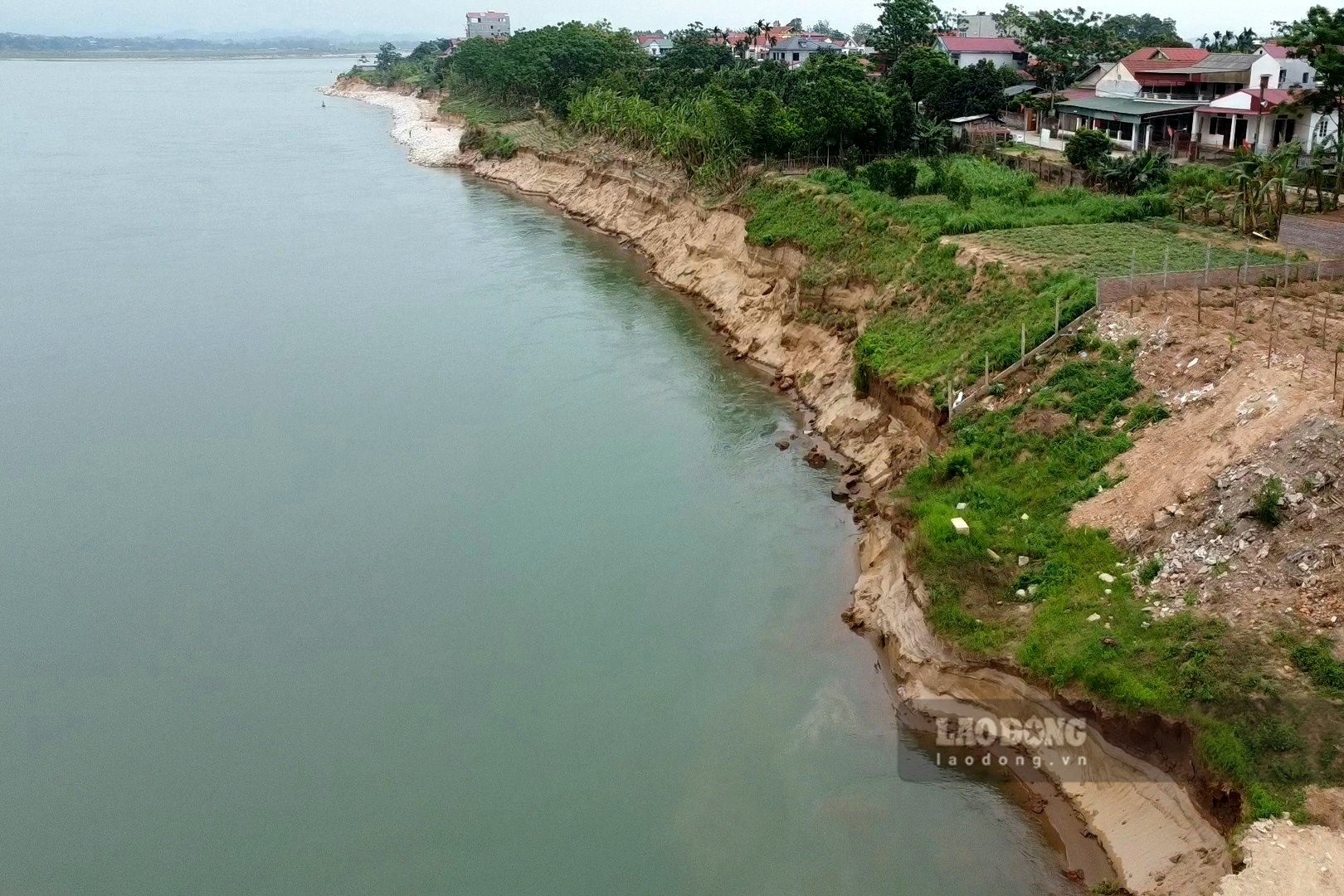 Hàng trăm hộ dân đang sinh sống ven sông Đà thuộc địa bàn xã Dân Quyền, huyện Tam Nông, nơi đang diễn ra tình trạng sạt lở bờ sông nghiêm trọng. Ảnh: Tô Công.