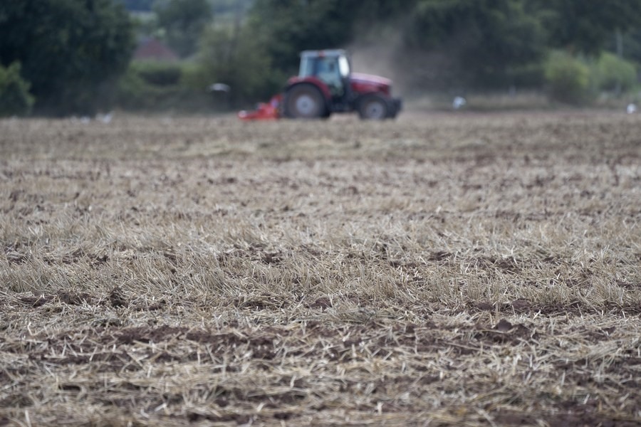 Một cánh đồng bị ảnh hưởng bởi hạn hán ở Staffordshire, Anh, tháng 2.2022. Ảnh: Xinhua