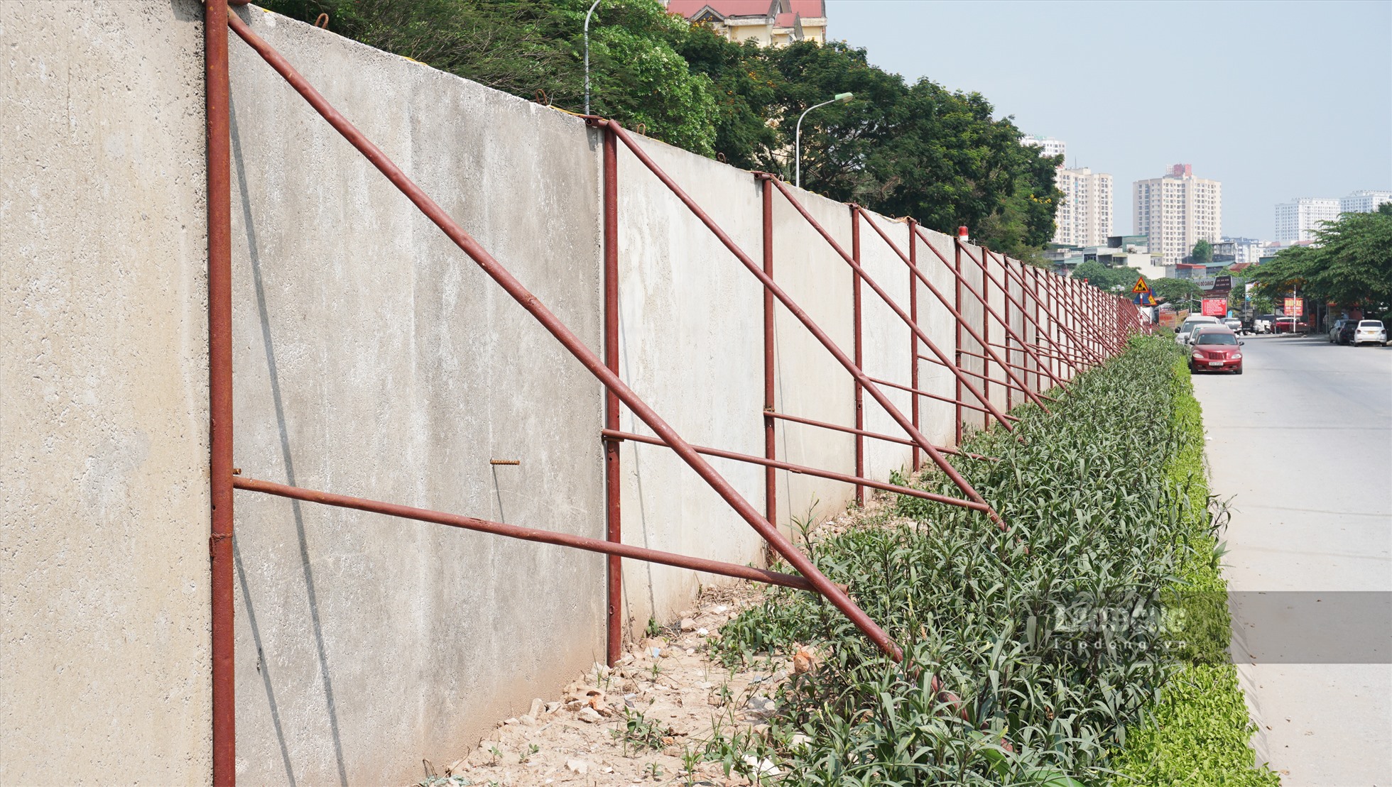 Dải phân cách giữa đường bằng cây xanh cũng bị những chiếc cọc sắt chống tường bê tông xâm phạm nghiêm trọng.