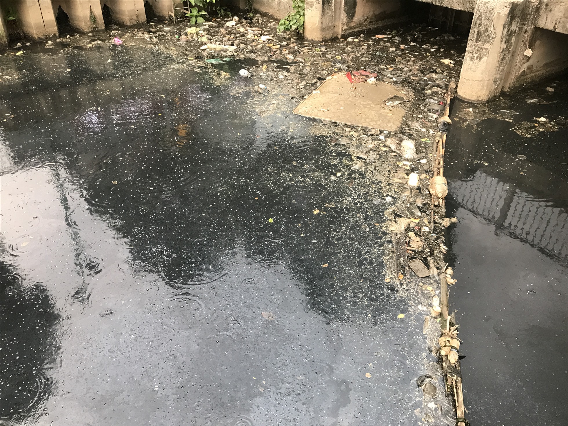 Đoạn kênh Nhiêu Lộc-Thị Nghè đoạn thượng nguồn đầy rác và xác cá.  Ảnh: Yến Nhi