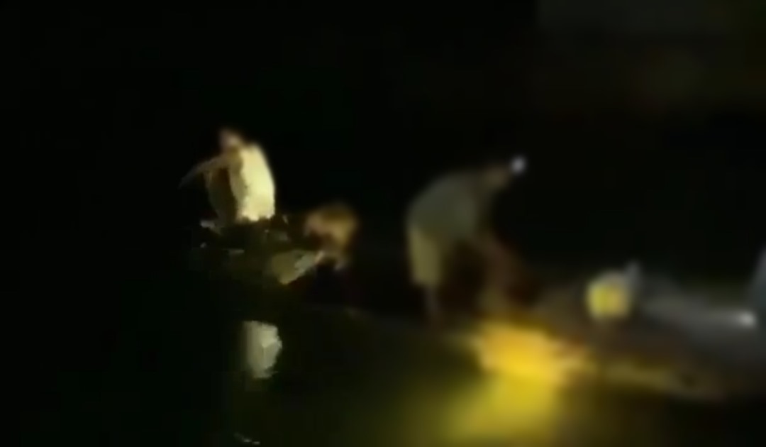 Cơ quan chức năng, gia đình tìm kiếm thi thể nạn nhân đuối nước trên sông Trà Lý đoạn Cống Vực chiều tối ngày 20.5. Ảnh: Người dân cung cấp