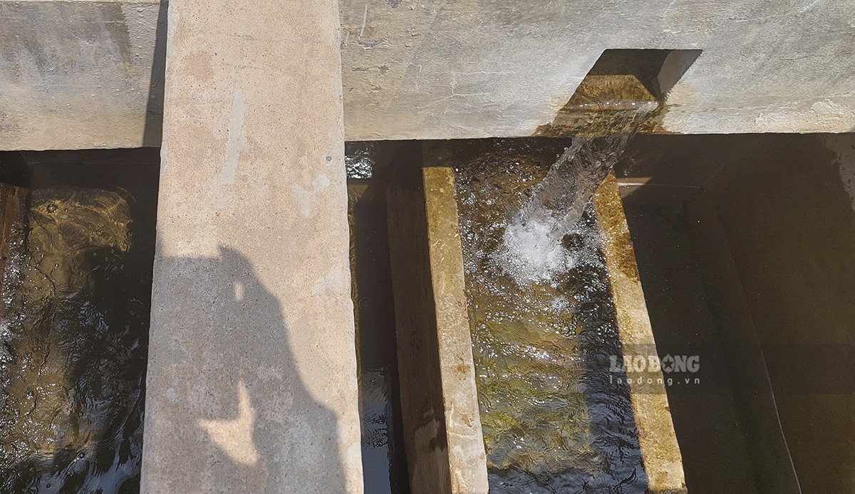 Cũng theo ông Hà Đình Thuấn, hiện nhà máy nước này đang cung cấp nước sinh hoạt cho khoảng hơn 1 nghìn hộ dân và các cơ quan đơn vị trên địa bàn thị trấn Mường Chà. Nếu tình trạng nước nguồn cạn kiệt như hiện nay nếu tiếp tục kéo dài thì sẽ không thể đảm bảo duy trì hoạt động cho nhà máy.