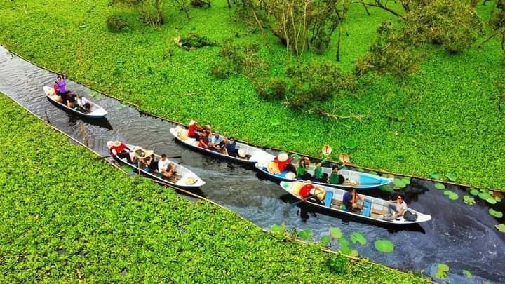 Một góc rừng tràm Trà Sư, tỉnh An Giang. Ảnh: Thiên Ý