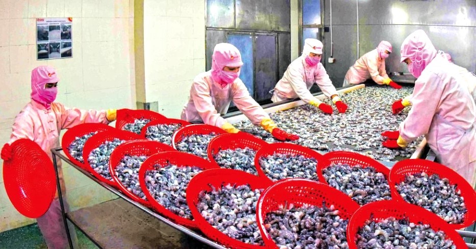 Hầu hết lao động tại tỉnh Cà Mua làm việc trong ngành chế biến thủy sản, các doanh nghiệp không sử dụng lao động là trẻ em. Ảnh: Nhật Hồ