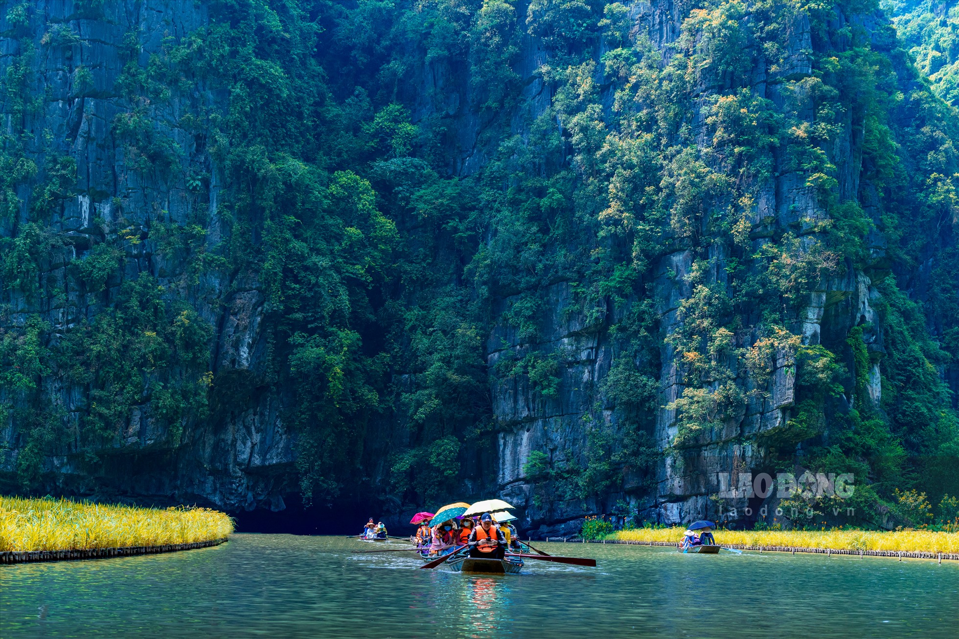 Đây là lễ hội diễn ra thường niên, vào đúng thời điểm những cánh đồng lúa chín vàng bên dòng sông Ngô Đồng. Qua chương trình nhằm đẩy mạnh công tác quảng bá, giới thiệu những nét đặc sắc, hấp dẫn, giá trị nổi bật về tài nguyên du lịch của Ninh Bình, đặc biệt của Di sản văn hóa và thiên nhiên thế giới - Quần thể danh thắng Tràng An. Ảnh: Diệu Anh