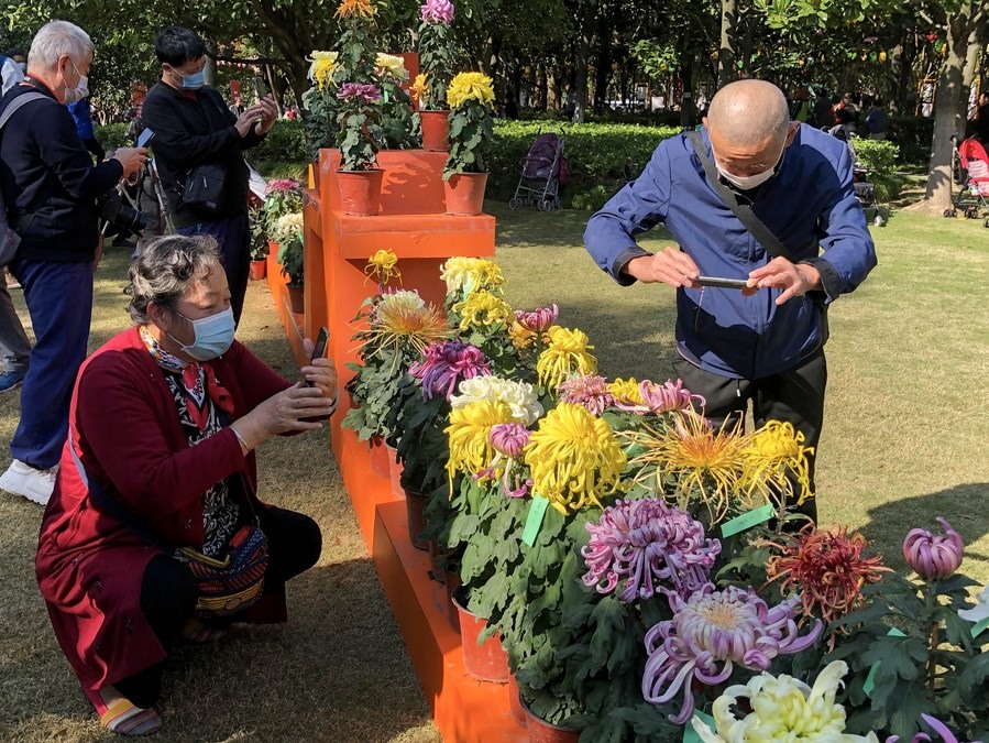 Người cao tuổi ngắm hoa trong công viên ở Thượng Hải, Trung Quốc. Ảnh: Xinhua