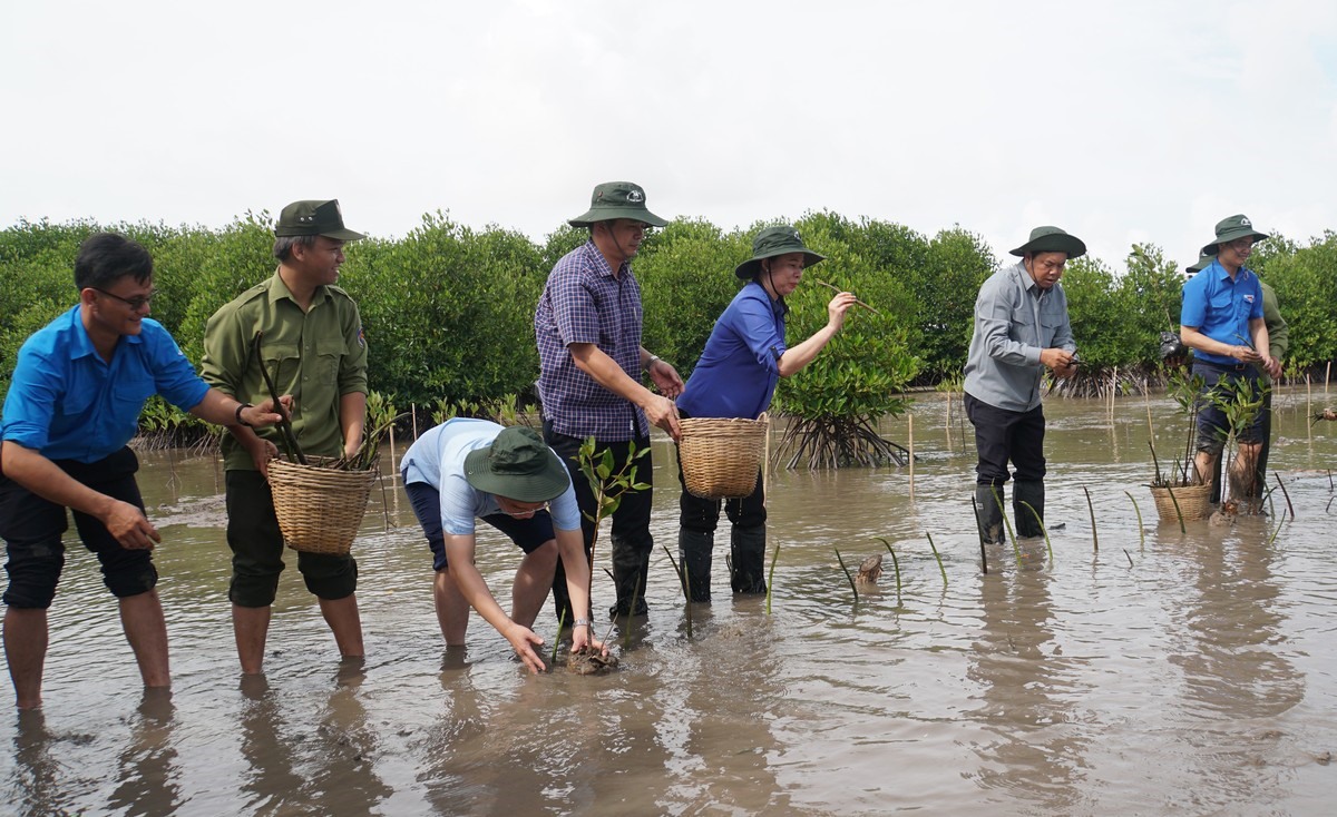 Phó Chủ tịch nước Võ Thị Ánh Xuân cùng đại biểu tham gia trồng rừng tại mũi Cà Mau. Ảnh: Tạ Quang
