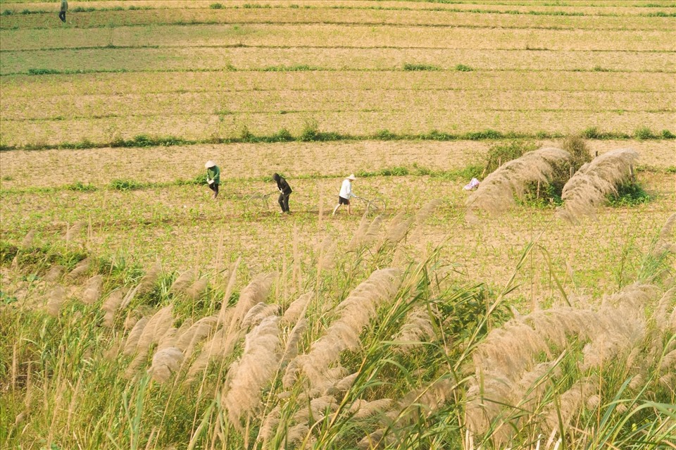 Yến tâm sự, mặc dù hành trình đi du lịch xuyên Việt một mình mới bắt đầu được gần 4 tháng nhưng đã mang lại cho cô nhiều trải nghiệm và ý nghĩa khác nhau. Không chỉ giúp cô dám thoát ra khỏi vùng an toàn, mà còn giúp cô chứng tỏ bản thân rằng “mình dám làm và dám theo đuổi đam mê xê dịch, khát khao tự do trong mình”. Bên cạnh đó, chuyến đi này còn là cơ hội để Yến bứt phá và tăng trưởng các kênh social media mà mình xây dựng bấy lâu nay. “Làm Travel Content Creator mà không đi du lịch thì lấy đâu ra trải nghiệm, cảnh quay các địa điểm để mà làm nội dung, đúng không nào?”, Yến nói.