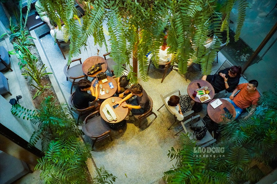 Các quán cafe có không gian xanh mát, nhiều cây cối, gần gũi với thiên nhiên đang thu hút nhiều