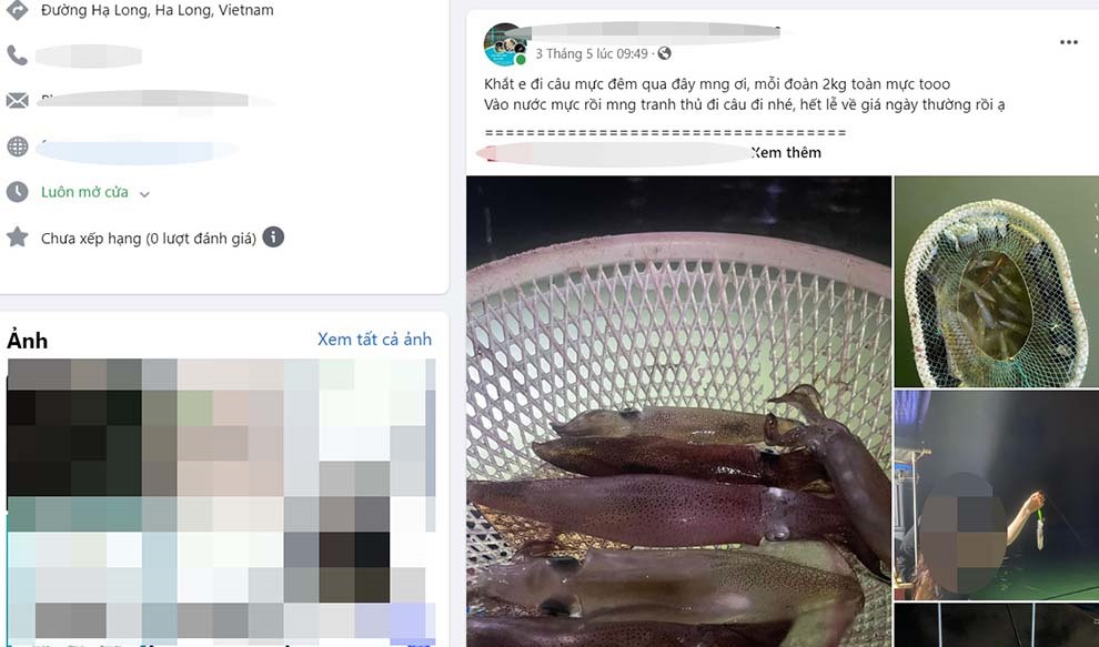 Một trang facebook đăng tải công khai giá dịch vụ trải nghiệm câu mực đêm tại Hạ Long. Ảnh chụp lại từ màn hình