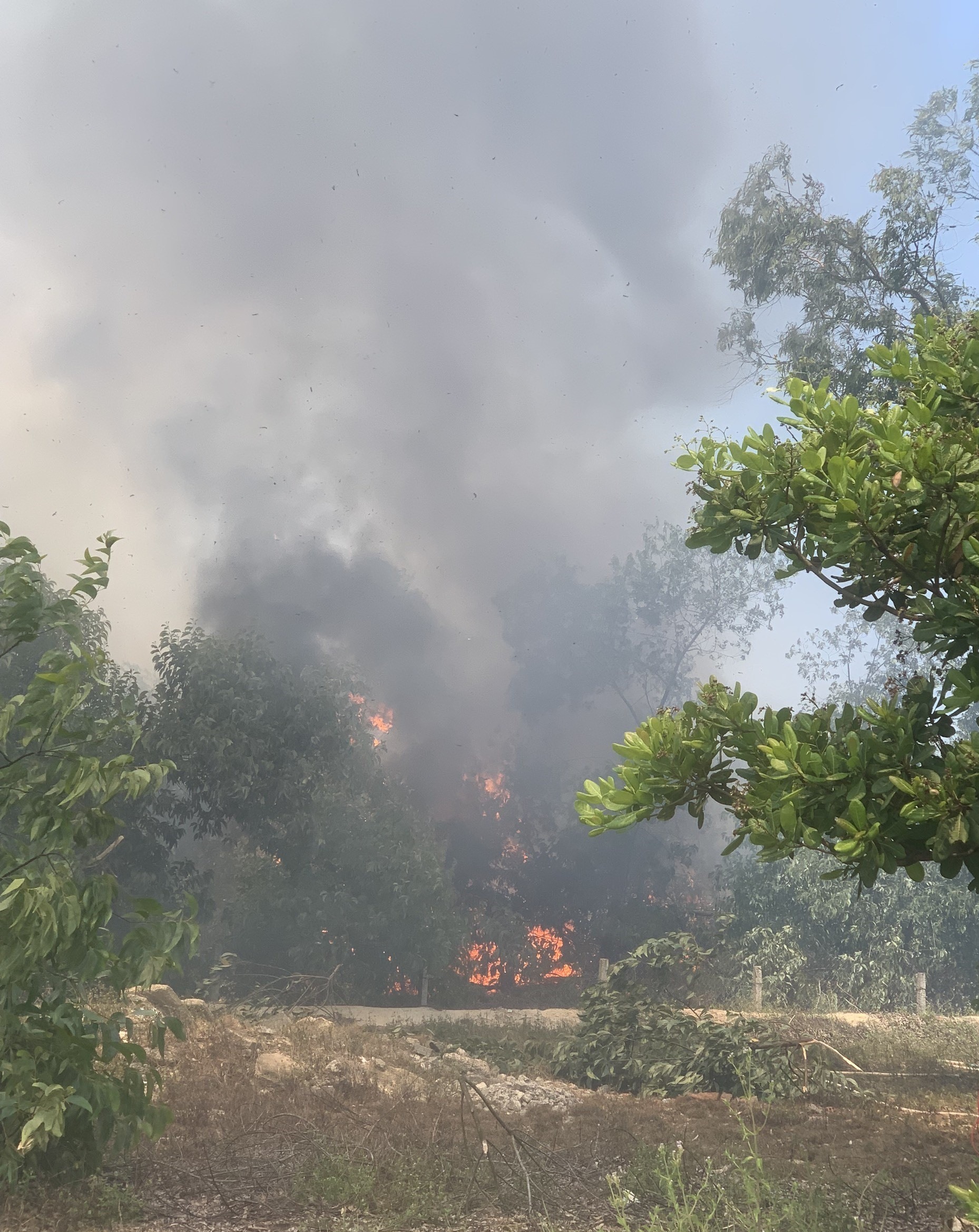 Vụ cháy rừng phòng hộ Pacsa tại Quảng Nam gây thiệt hại 20,86ha rừng. Ảnh lực lượng chữa cháy Quảng Nam.