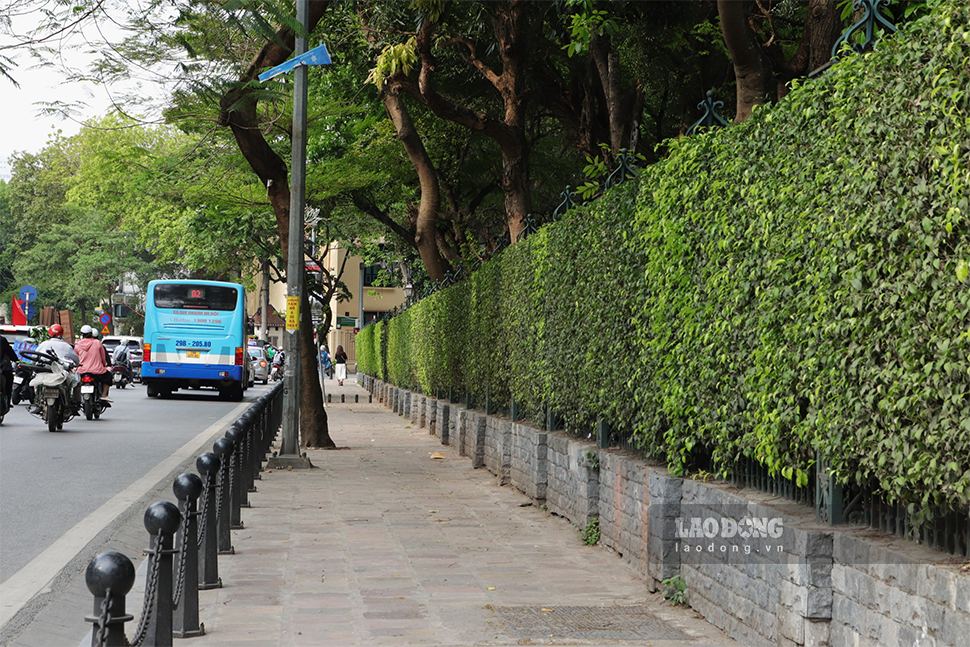 Khuôn viên đường tại phố Văn Miếu rất thoáng đãng, thoải mái, nhiều người dân cũng đồng tình ủng hộ tuyến phố trở thành phố đi bộ.