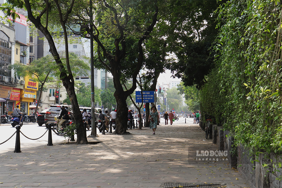 Không gian xanh quanh phố Văn Miếu luôn thu hút được người dân qua lại sinh hoạt.