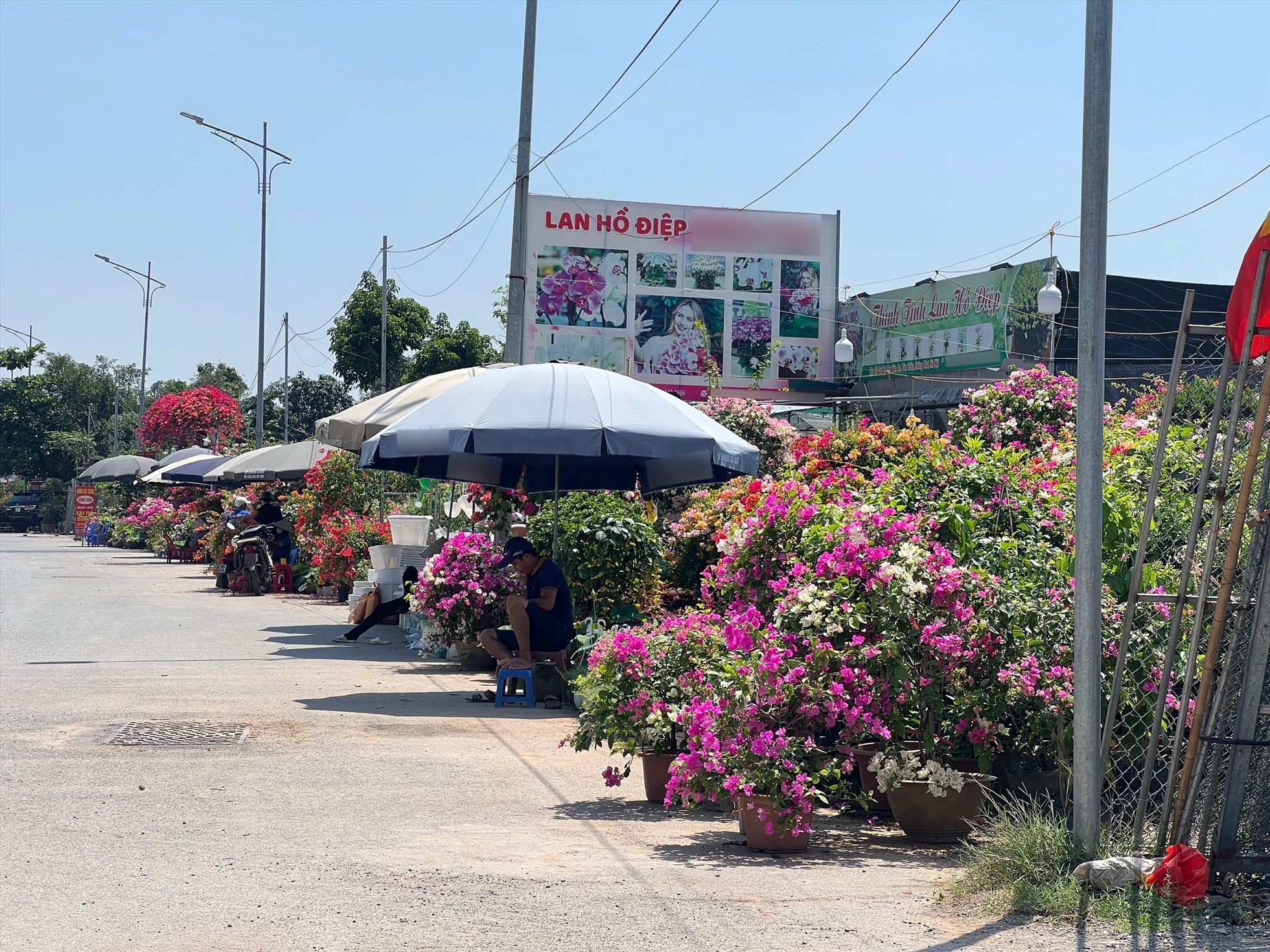 Hàng loạt cửa hàng bán cây cảnh, đồ gốm sứ “mọc” lên tại khu vực đất công viên. Ảnh: Nguyễn Thúy