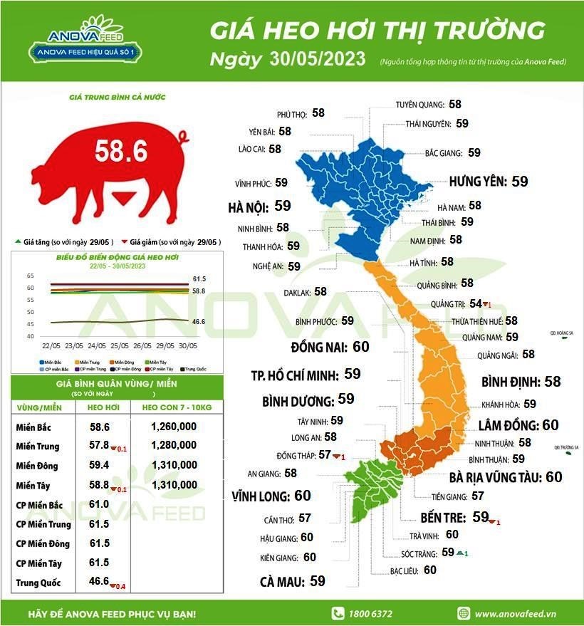 Giá lợn hơi trên cả nước ngày 30.5.2023. Nguồn: Anova Feed.