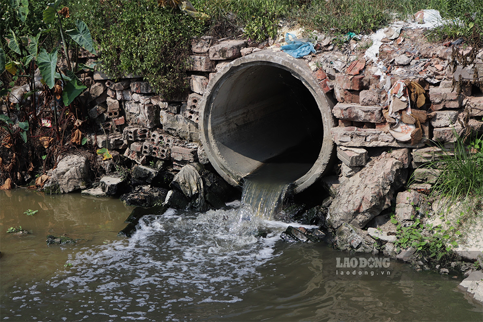 Ngoài núi rác chất đống ảnh hưởng tới các hộ nông dân, kênh Hòa Bình cung cấp nước cho hàng chục mẫu ruộng cũng bị chất thải xả trực tiếp, khiến người dân khốn khổ.