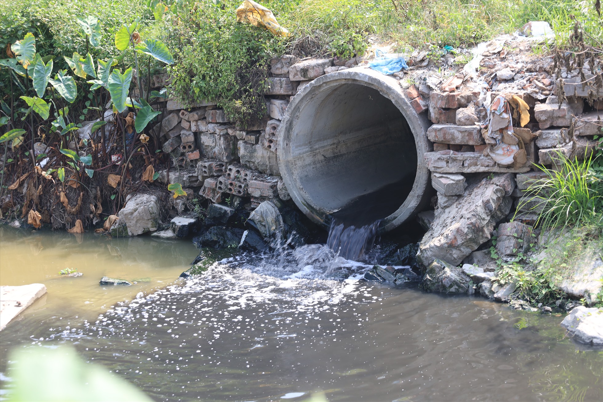 Cống “lộ thiên” xả thẳng nước thải công nghiệp ra kênh thủy lợi nội đồng của cụm. Ảnh: Nguyễn Thúy