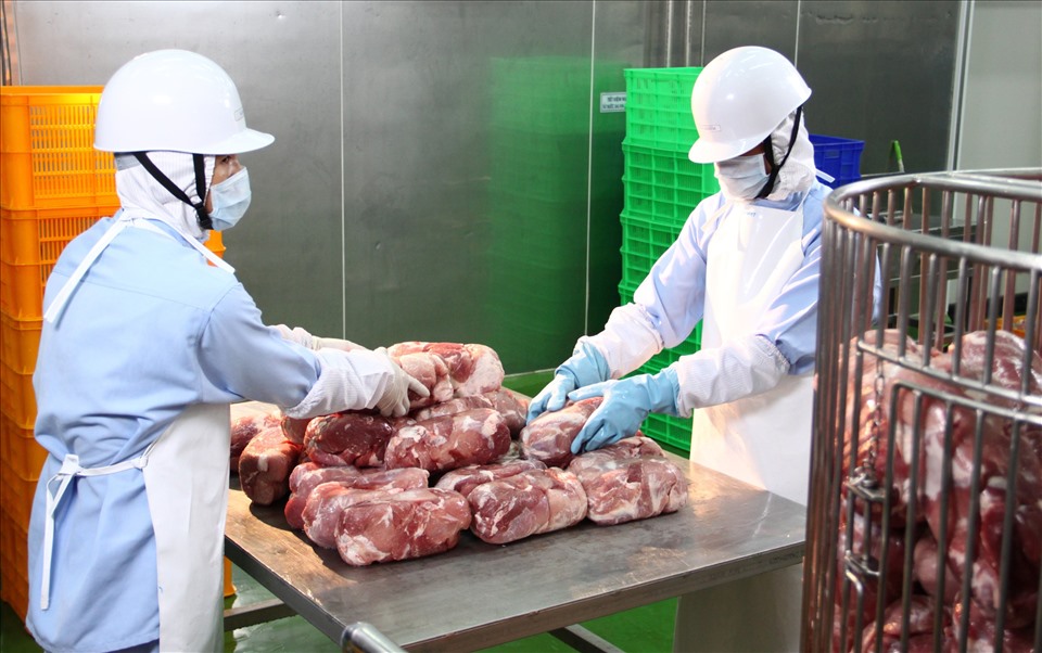 Kiểm tra chất lượng nguyên liệu trước khi đưa vào chế biến tại nhà máy Ajinomoto. (Ảnh N. Nam)
