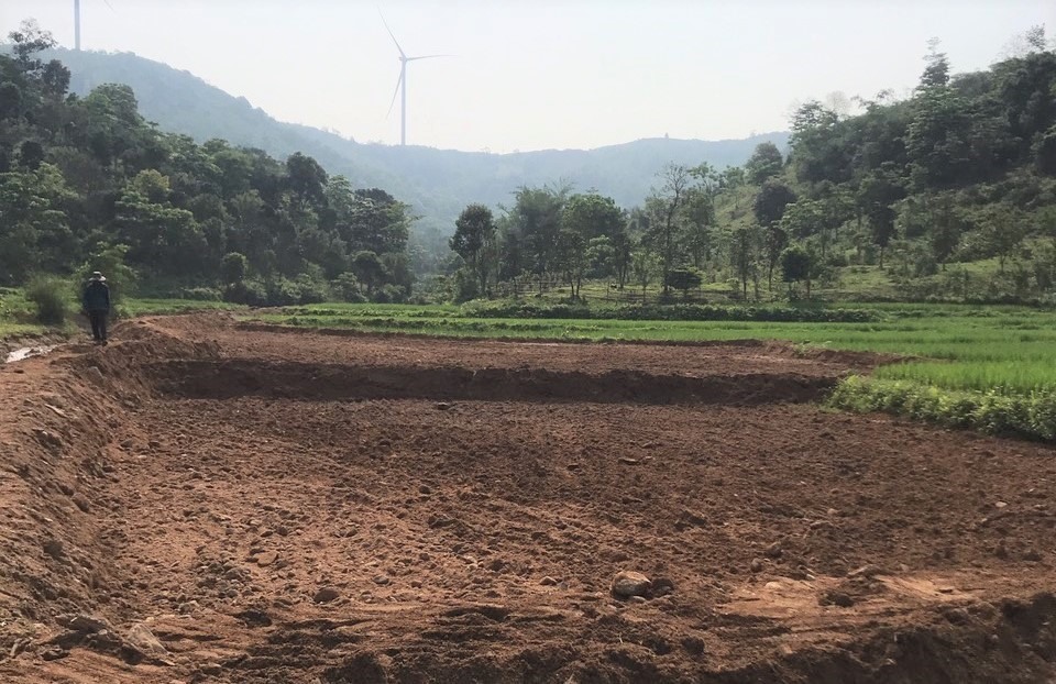 Ruộng lúa được cải tạo sau nhiều vụ bỏ hoang do bị bồi lấp. Ảnh: Nguyễn Thanh