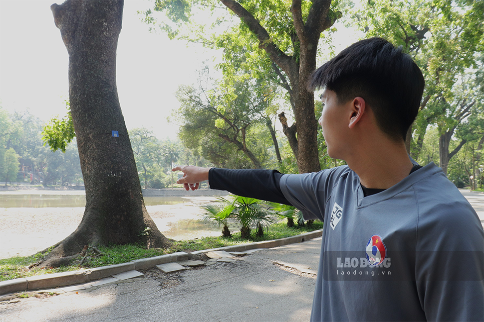 Bạn Nguyễn Đức Anh (Ba Đình, Hà Nội) cho biết: “Hồ tại công viên này đã cạn khô từ lâu, cứ vào những ngày nắng nóng là hồ lại bốc mùi rất nồng nặc khiến mọi người và cả em khi đi thể dục rất khó chịu. Ngoài ra ngay tại đoạn đường cổng vào có gốc cây chết khô nên rất lo lắng khi đi qua, sẽ không biết đổ sập lúc nào không hay“.