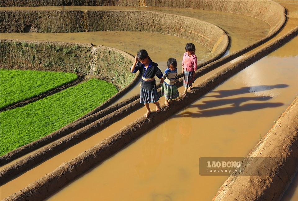 Ruộng bậc thang vào mùa nước đổ mang một gam màu trầm, một vẻ hoang sơ, đúng chất của núi rừng Tây Bắc.