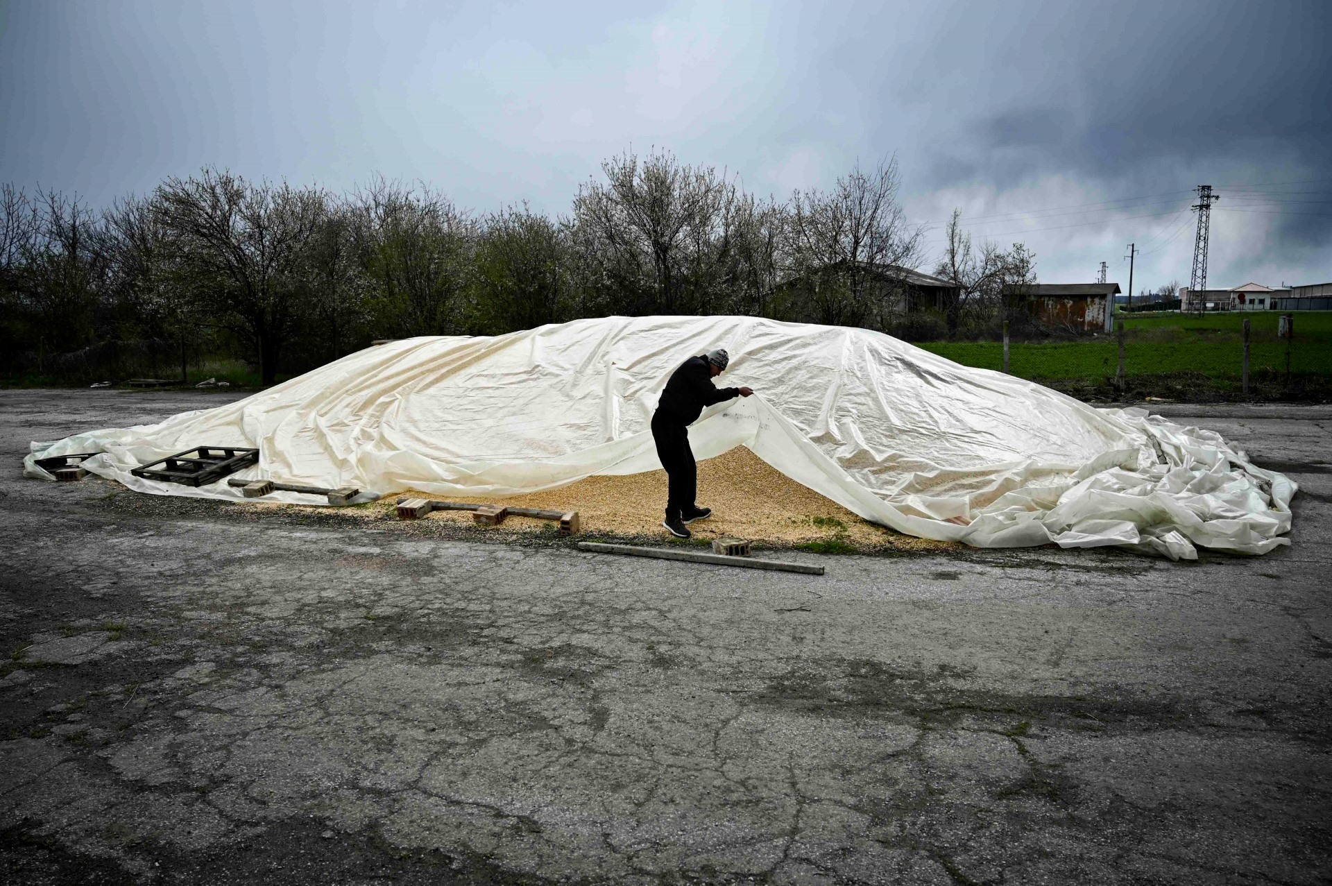 Ngô không bán được của nông dân ở gần thành phố Rousse, Bulgaria trong ảnh chụp ngày 29.3.2023. Ảnh: AFP