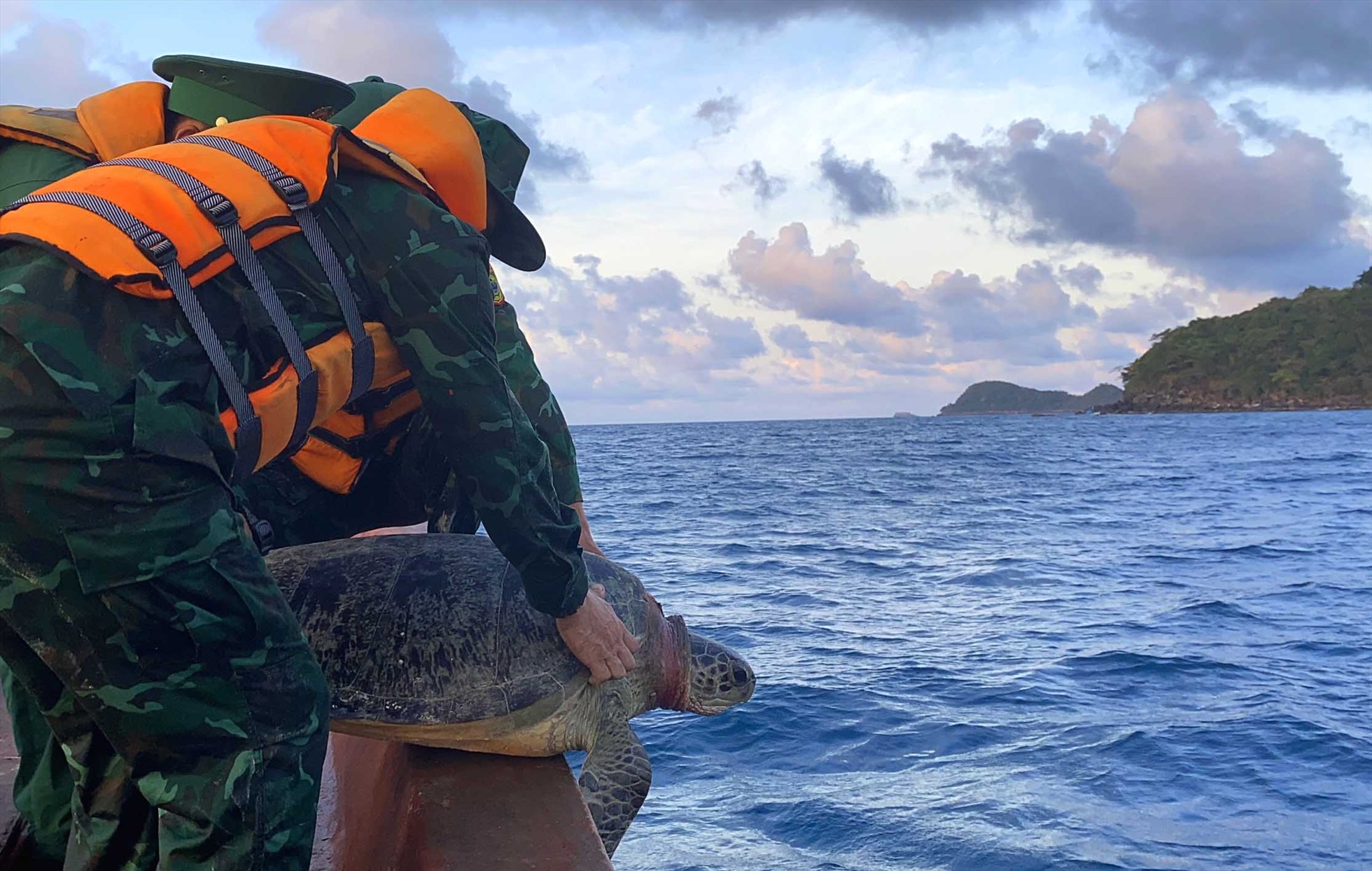 Được vận động, giải thích, ngư dân Nguyễn Hải Đa đã đồng ý phối hợp cùng Bộ đội biên phòng Đồn Thổ Châu thực hiện thả rùa biển về đại dương. Ảnh: La Minh Hoà