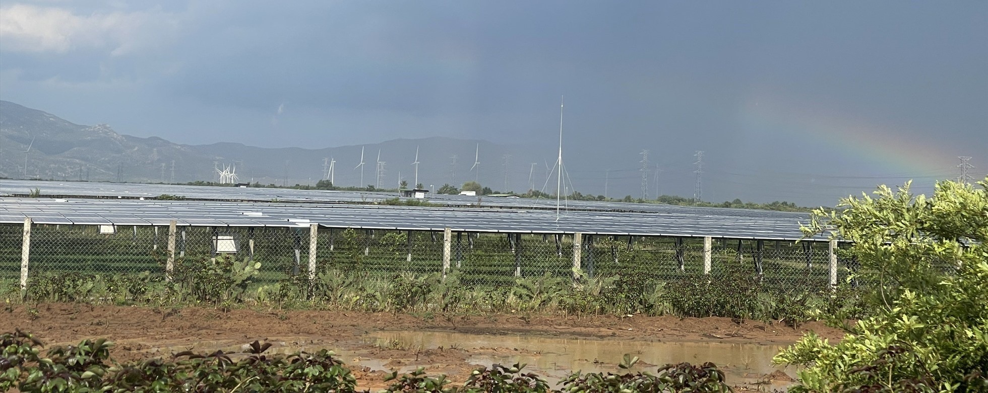 Dự án điện mặt trời Thiên Tân Solar chồng quy hoạch thủy lợi Tân Mỹ. Ảnh: Hữu Long