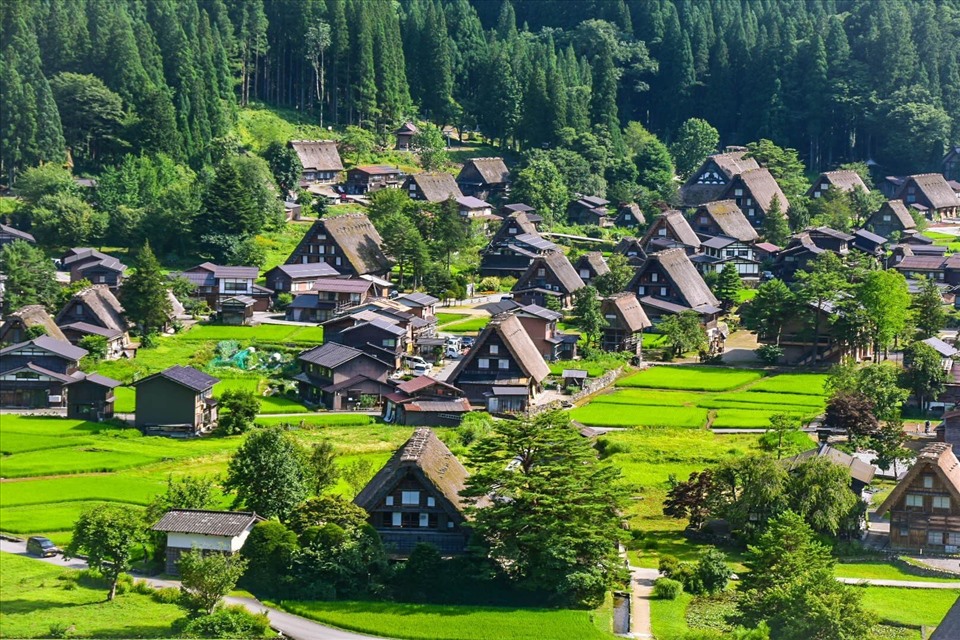 Làng Shirakawago.