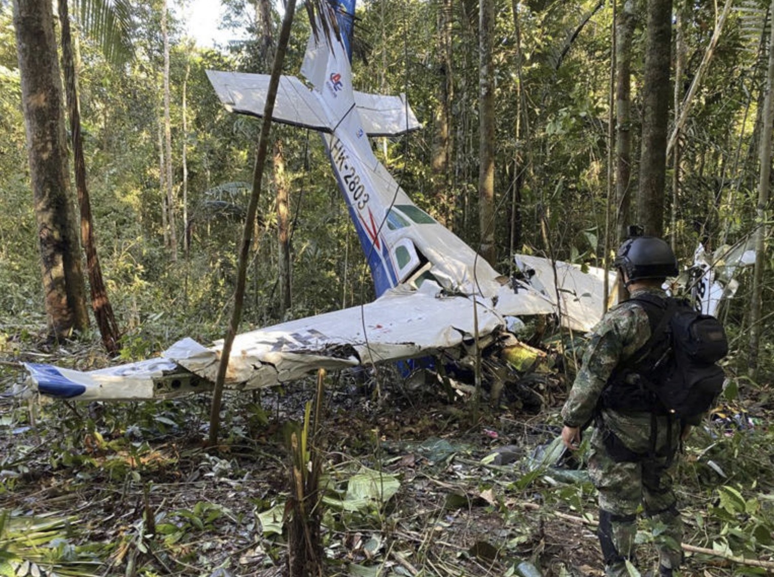 Hiện trường vụ tai nạn máy bay ở rừng Amazon. Ảnh: Quân đội Colombia
