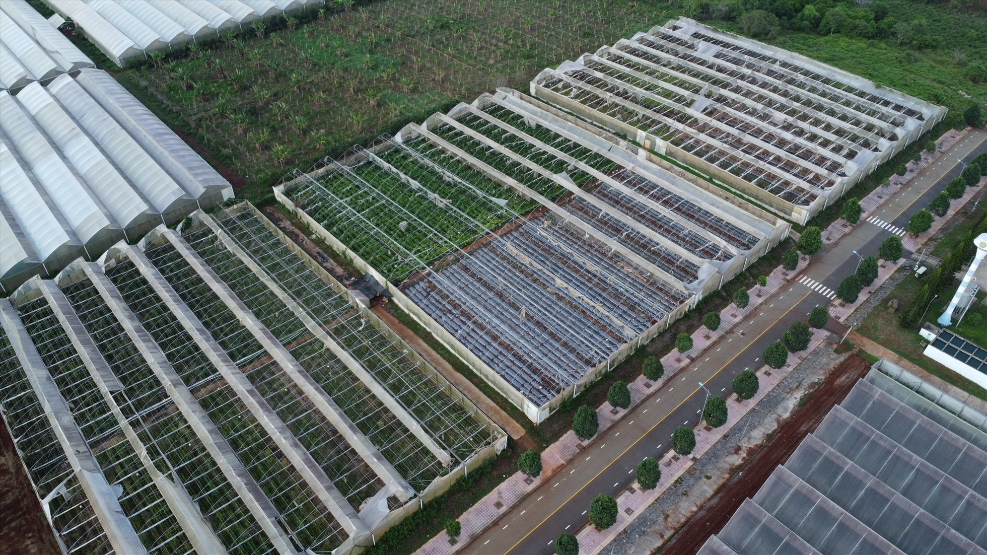 2 dự án xây lắp nhà màng của Sở Khoa học và Công nghệ tỉnh Đồng Nai, tại xã Xuân Đường, huyện Cẩm Mỹ.