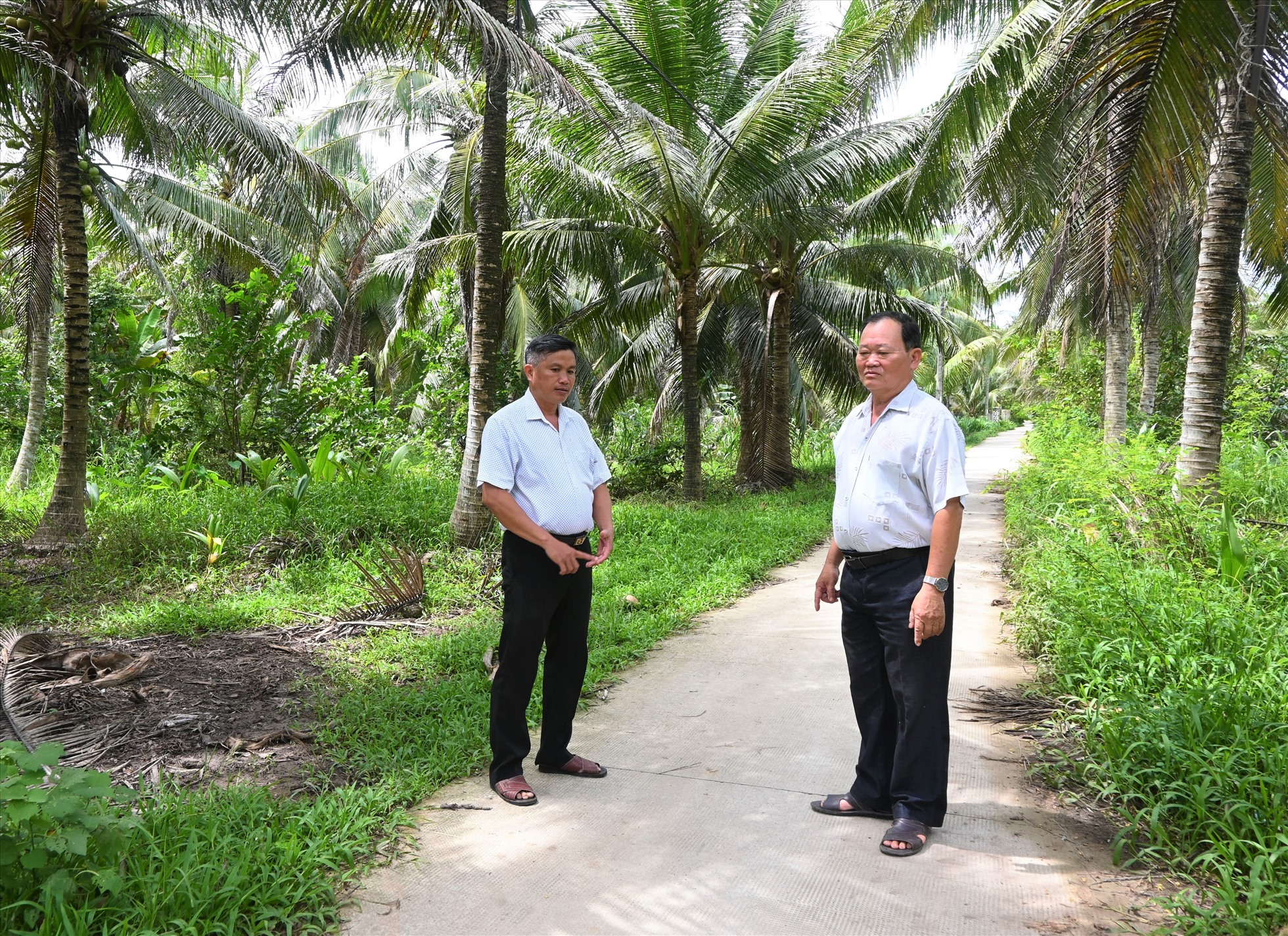 Ông Đào Văn Hội – Bí thư Đảng ủy xã Bình Thành (đứng bên trái) đi kiểm tra, khảo sát những tuyến đường nông thôn trên địa bàn xã Bình Thành (huyện Giồng Trôm, tỉnh Bến Tre). Ảnh: Thành Nhân