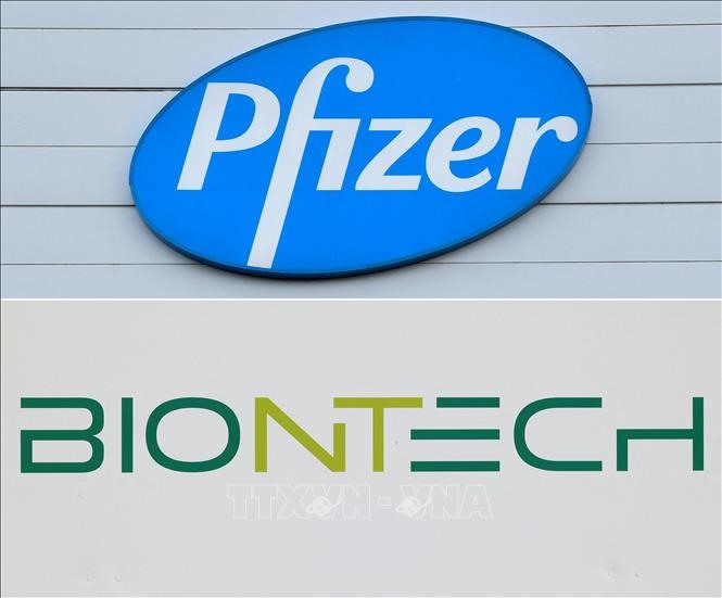 Logo của Pfizer và BioNTech. Ảnh: TTXVN