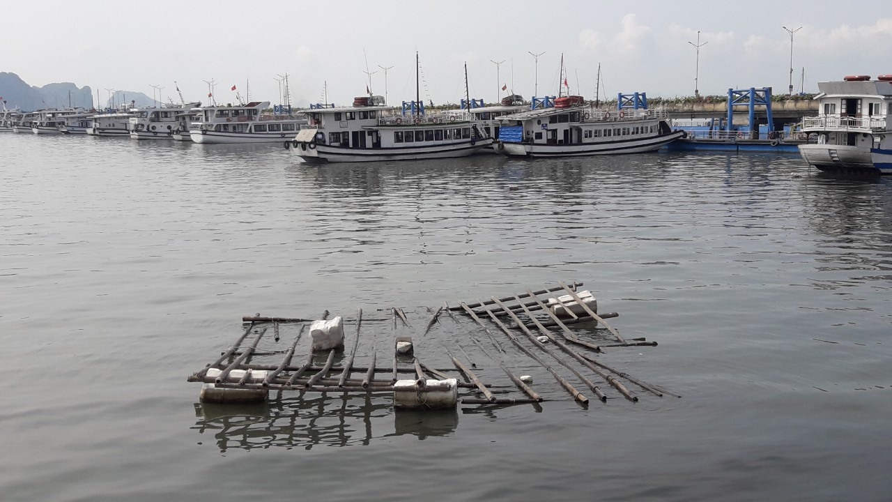 Một bè nuôi trồng thủy sản trôi dạt vào tận Cảng tàu quốc tế Tuần Châu sáng 14.6.2023. Ảnh: Nguyễn Hùng