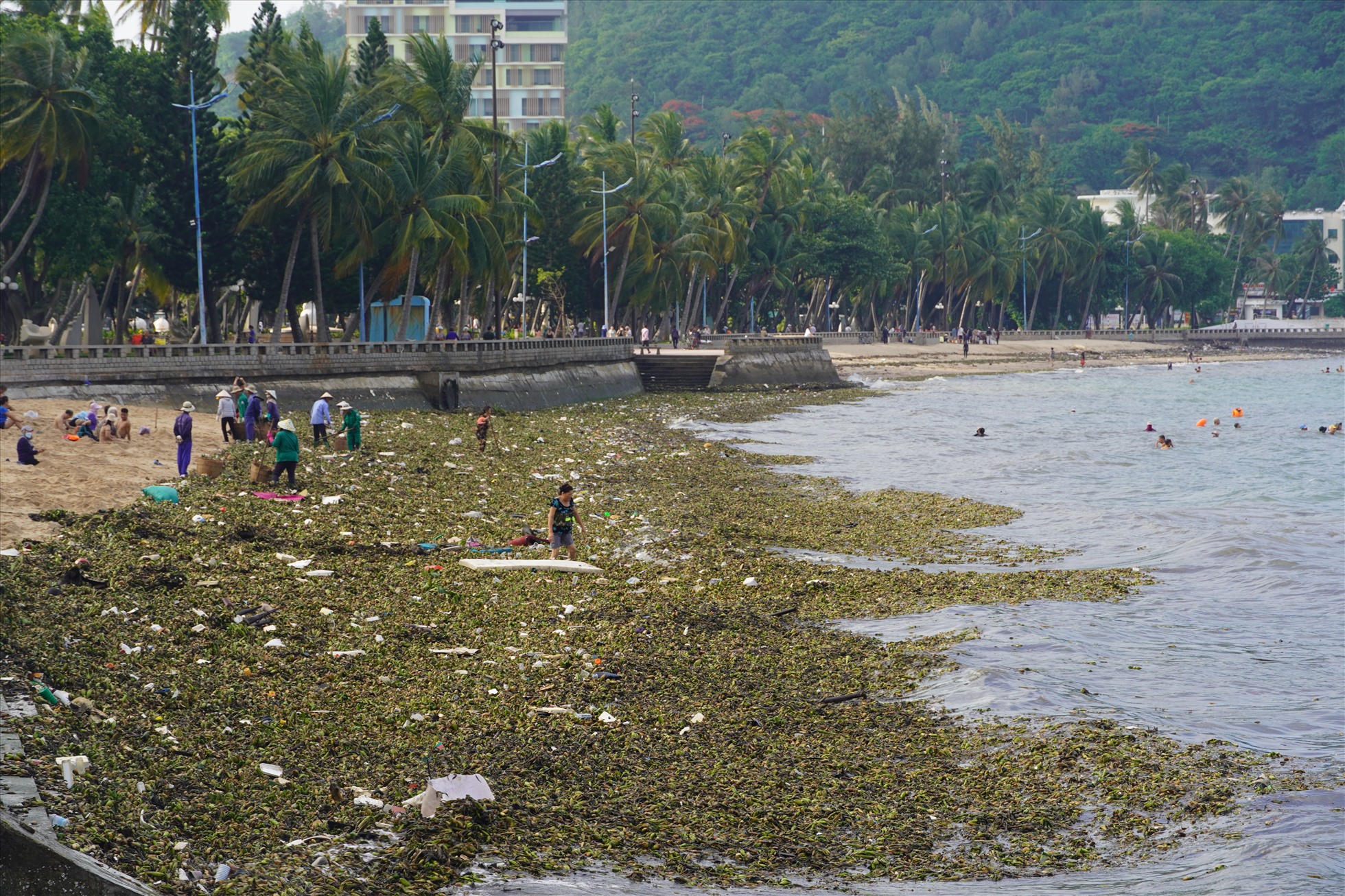 Từ 15.6, lượng lớn rác từ biển đã tấp vào bờ tại các bãi tắm trên địa bàn TP Vũng Tàu,   làm ảnh hưởng người dân, du khách tắm biển tại địa phương. Ảnh: Thành An