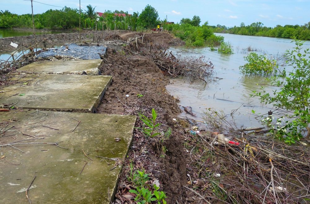 Sạt lở đất diễn ra nhiều nơi tại tỉnh Cà Mau. Ảnh: Nhật Hồ
